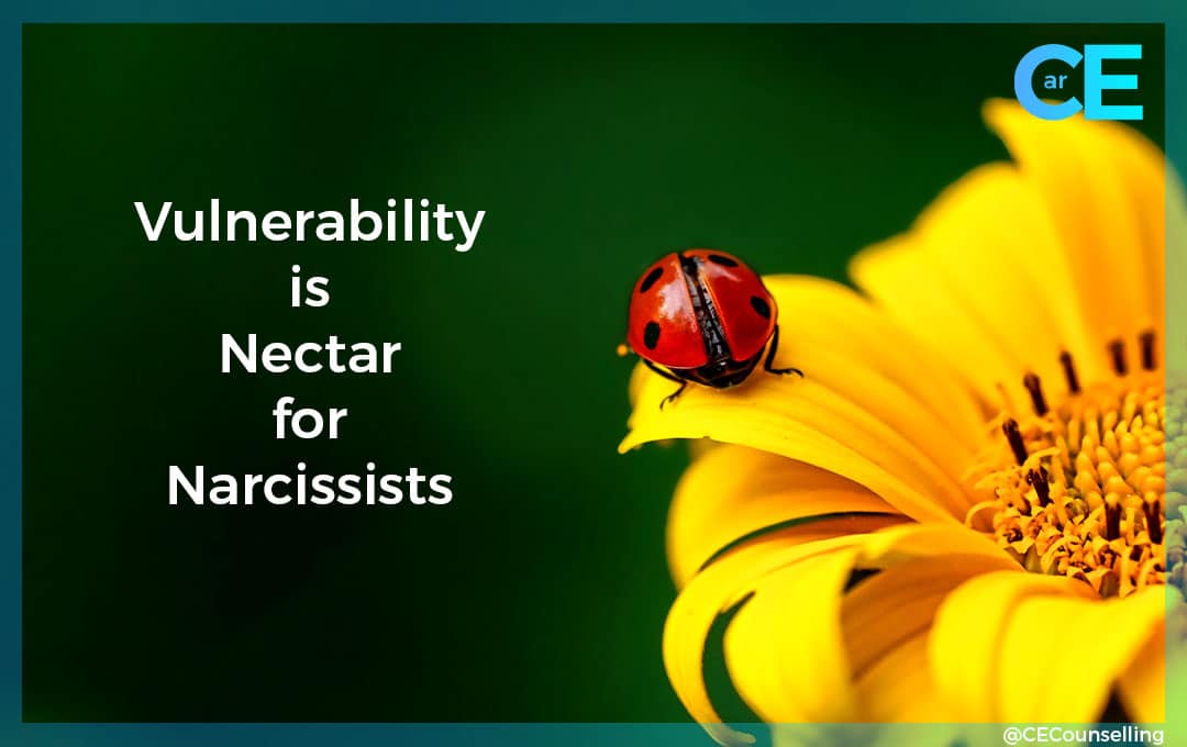 Vulnerability is Nectar for Narcissists
